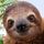 ashman_dodd's avatar